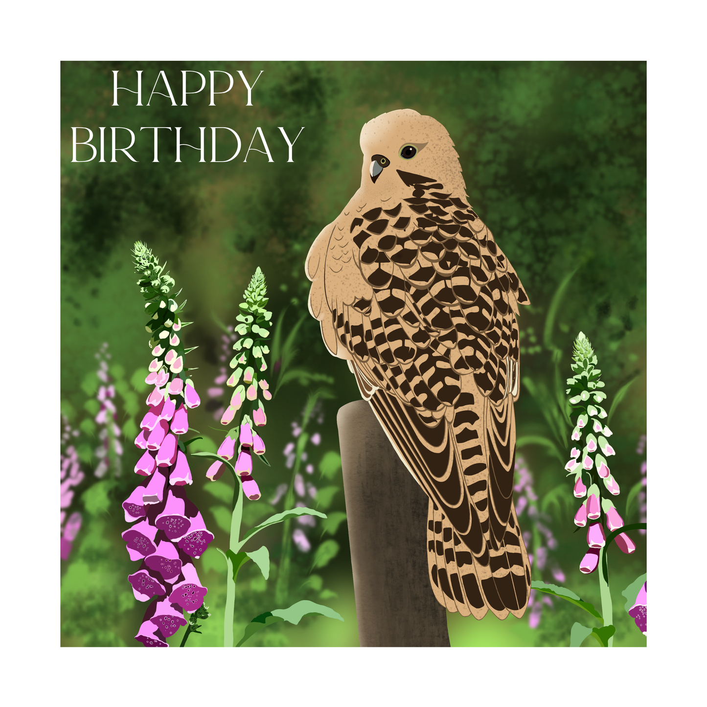 Square greeting card - Kestrel - Happy Birthday
