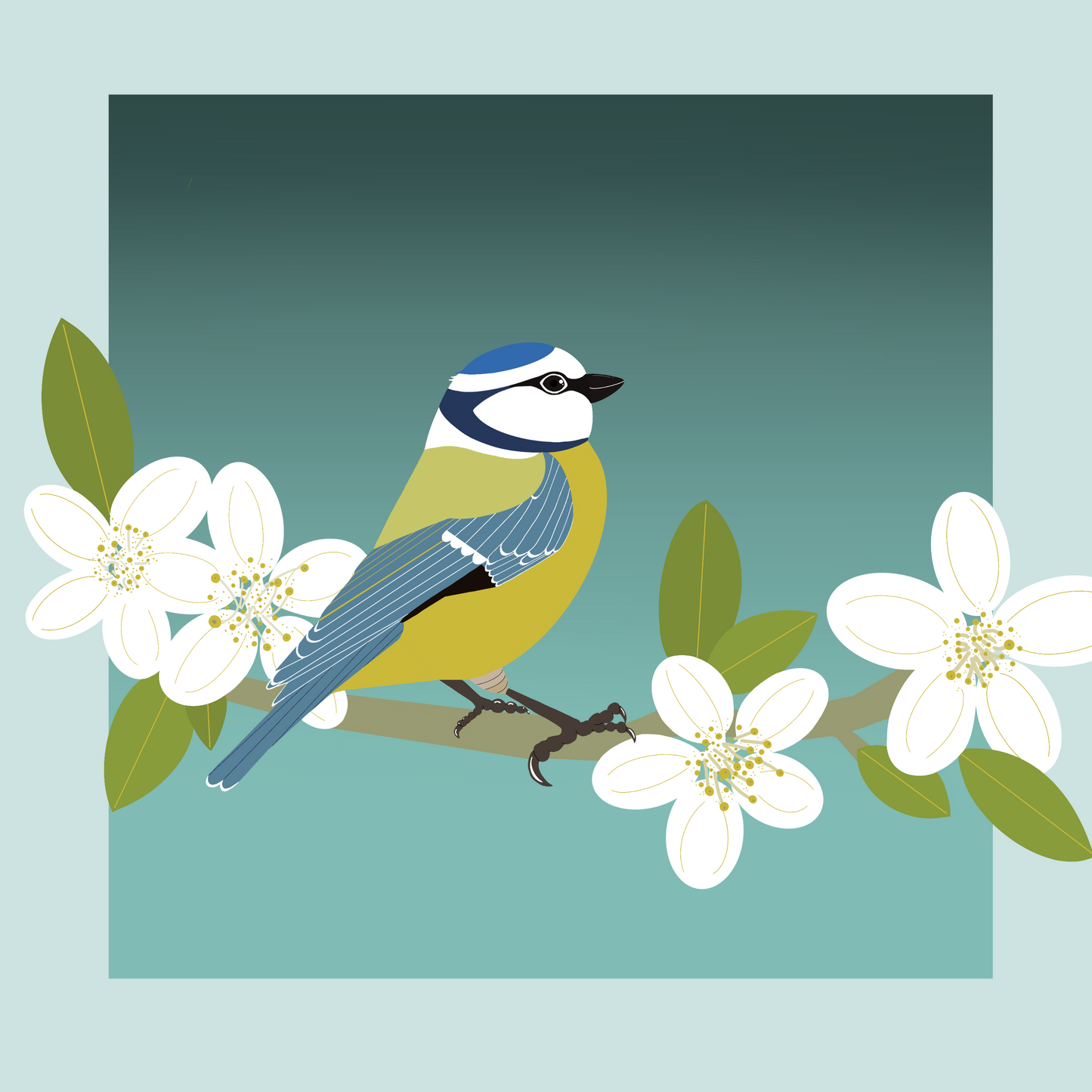 Square greeting card - Blue Tit