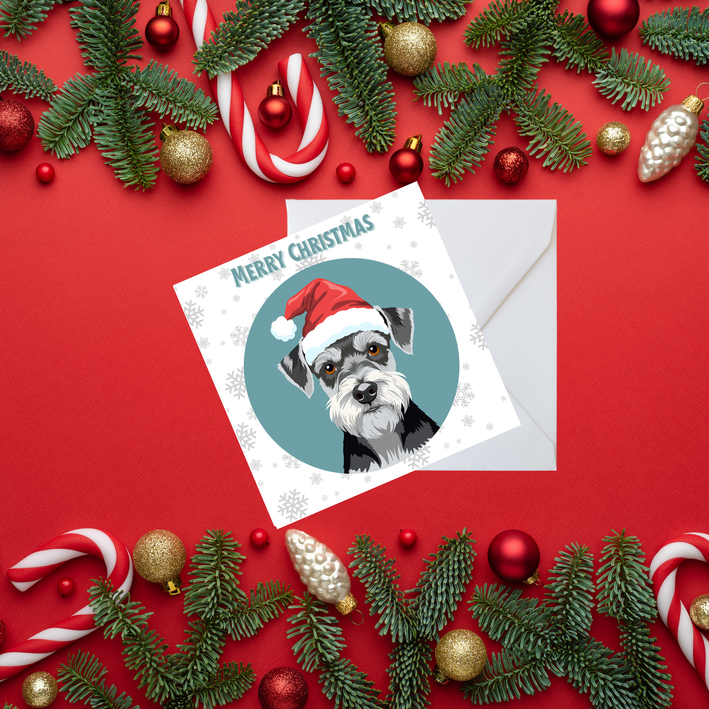 Square Christmas card - Schnauzer