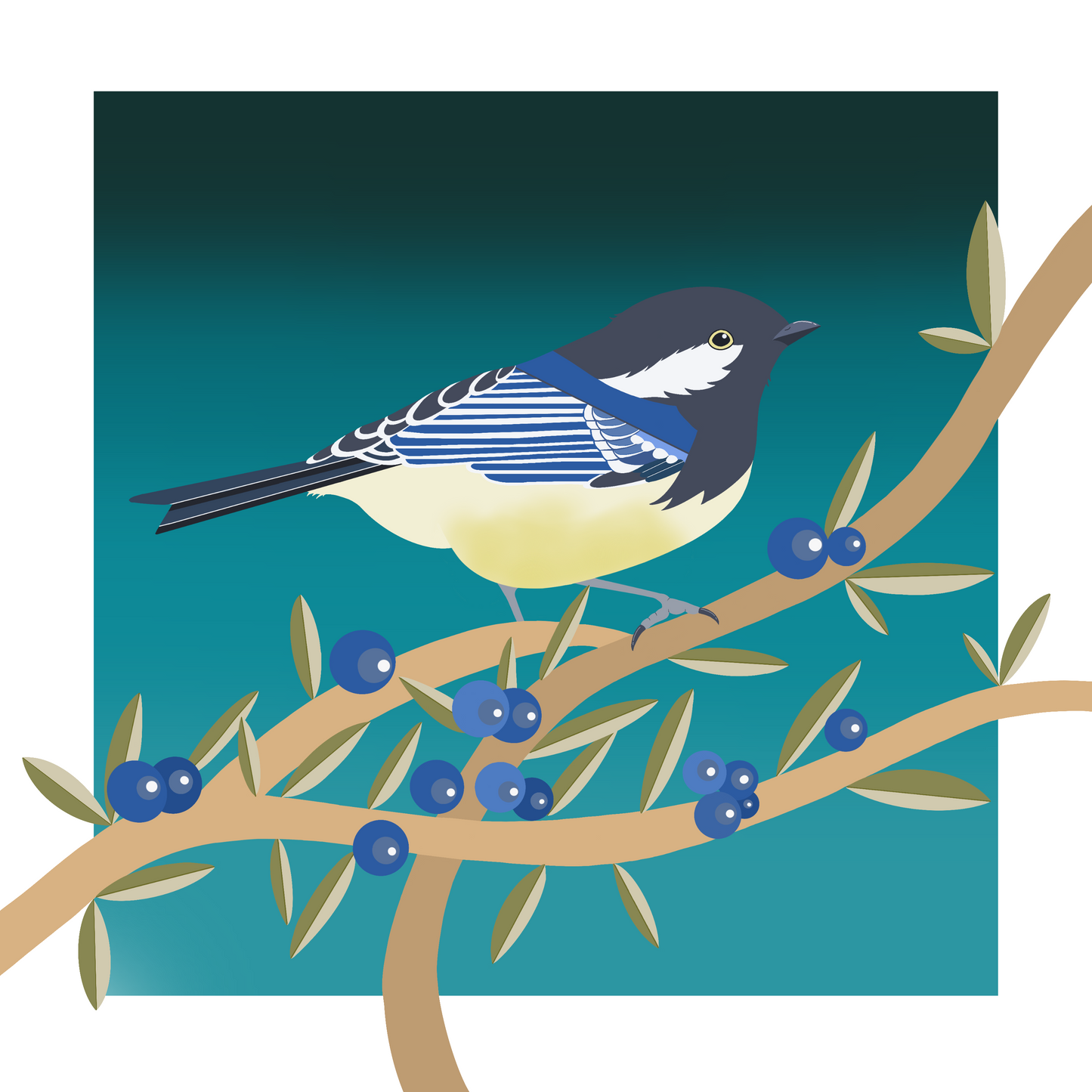 Square greeting card - Coal tit