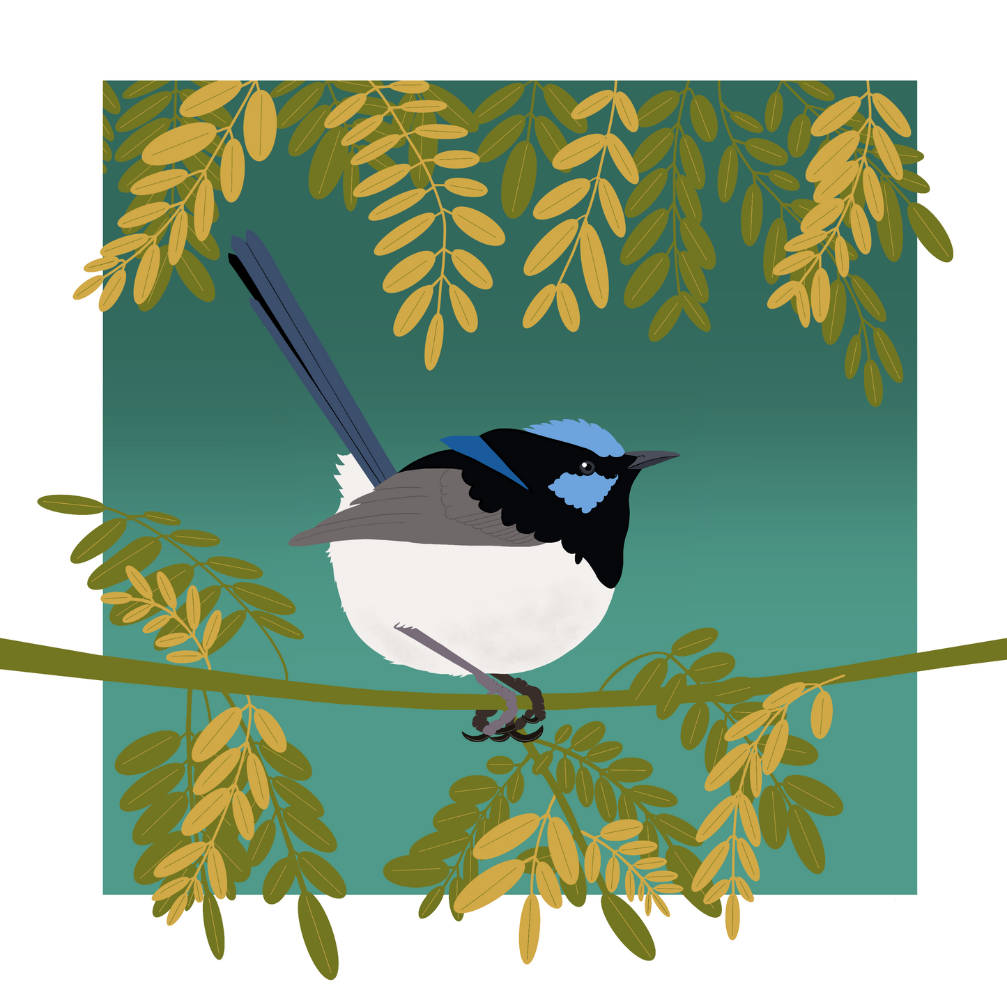 Square greeting card - Fairy Wren