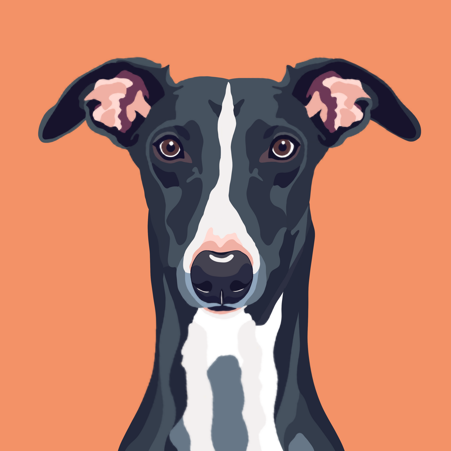 Pet Portraits - Digital File