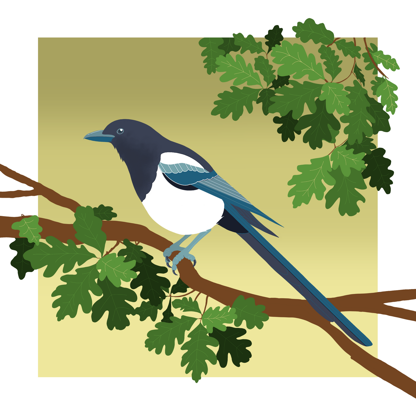 Square greeting card - Magpie