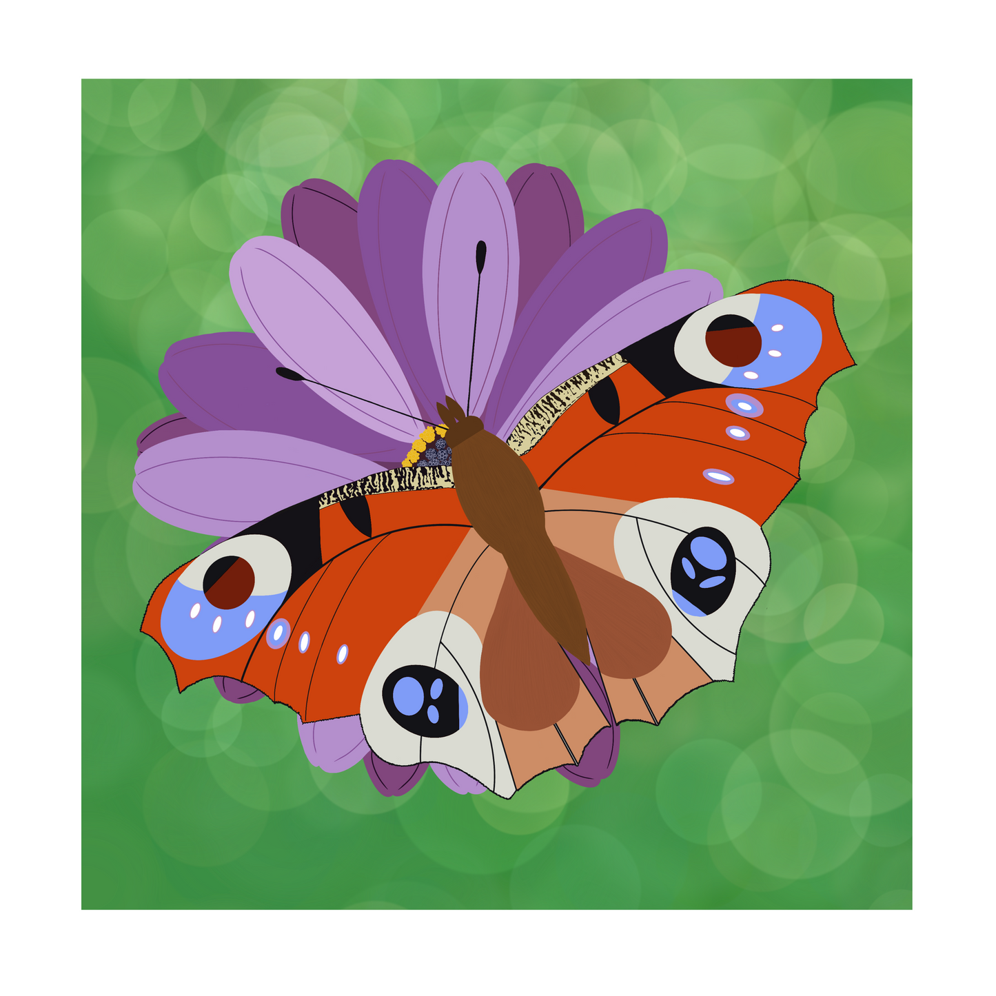 Square greeting card - Peacock Butterfly