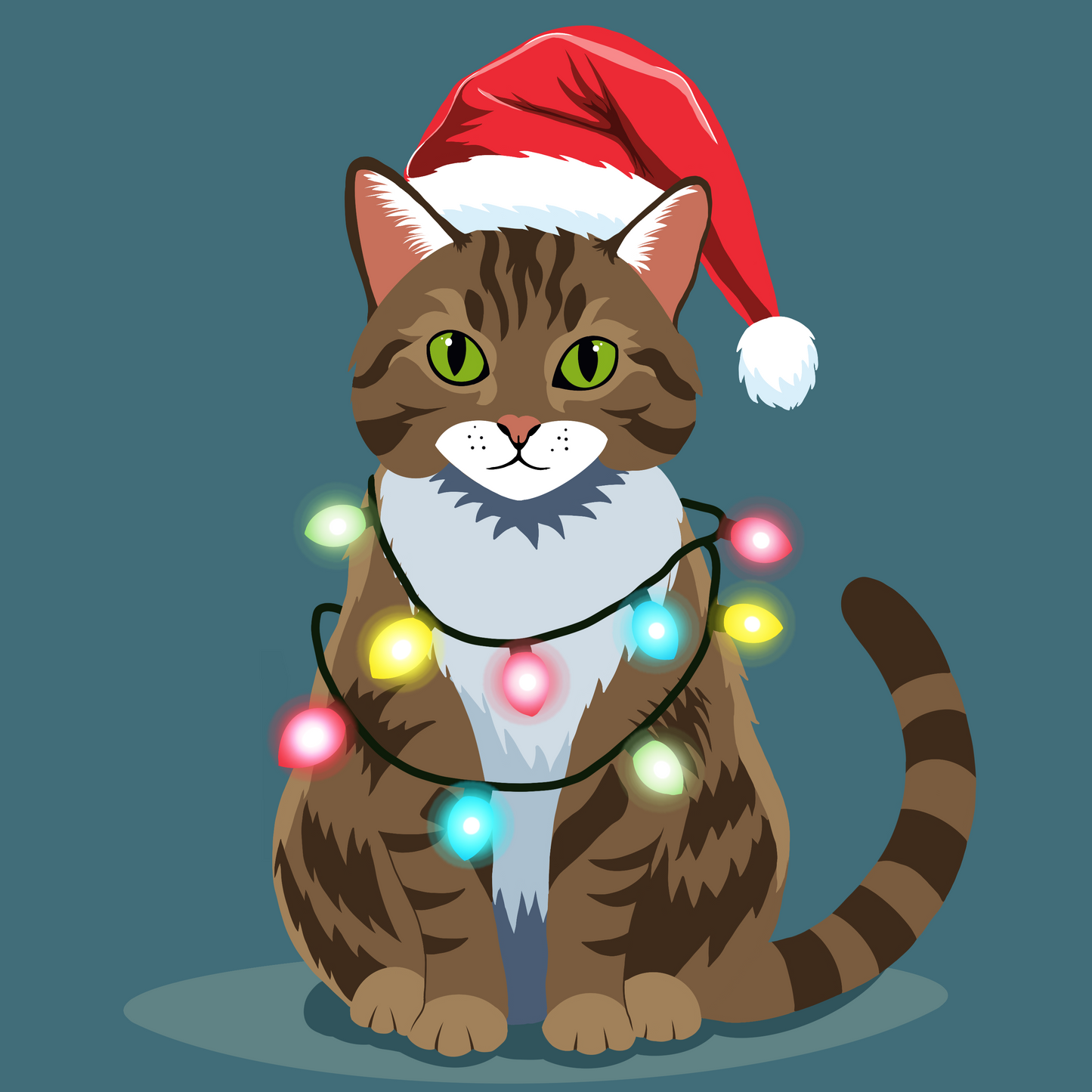 Christmas Theme Acrylic Kit - Festive Tabby cat