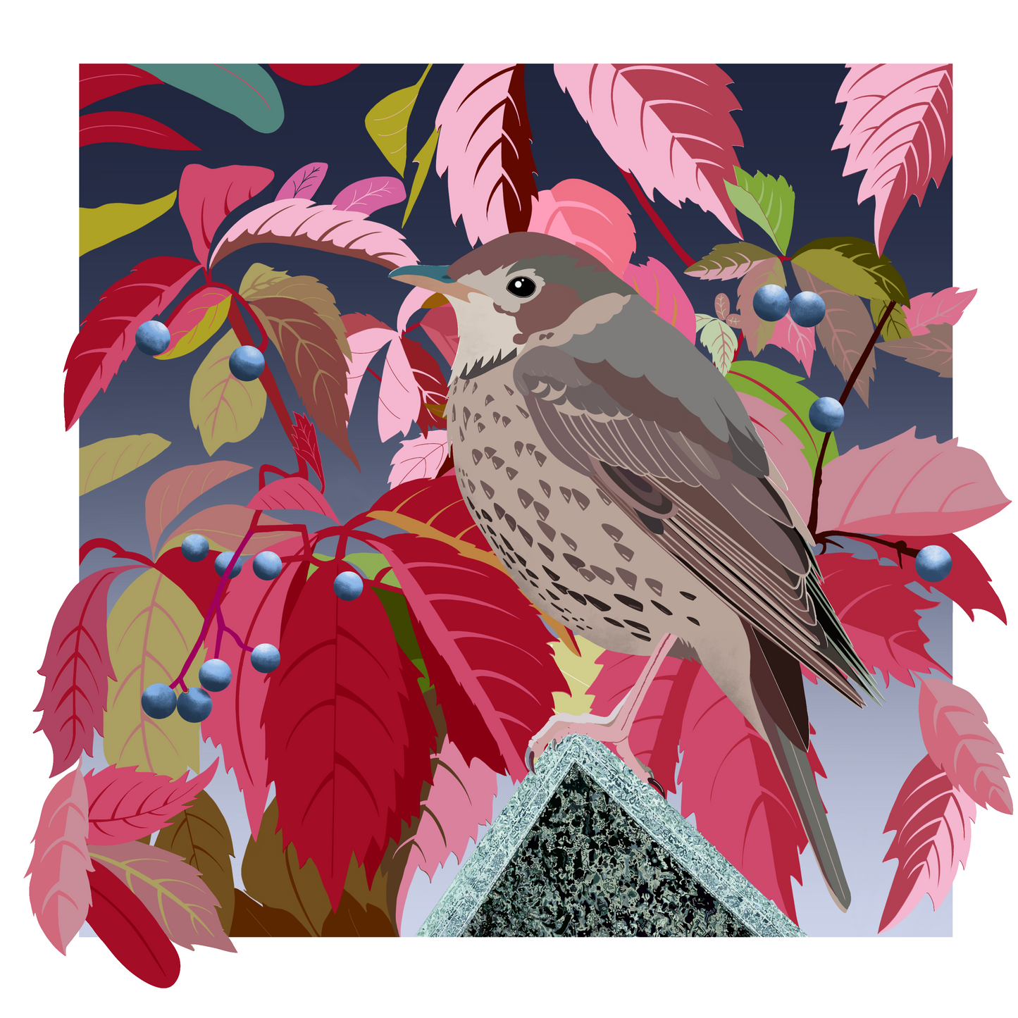Square greeting card - Thrush