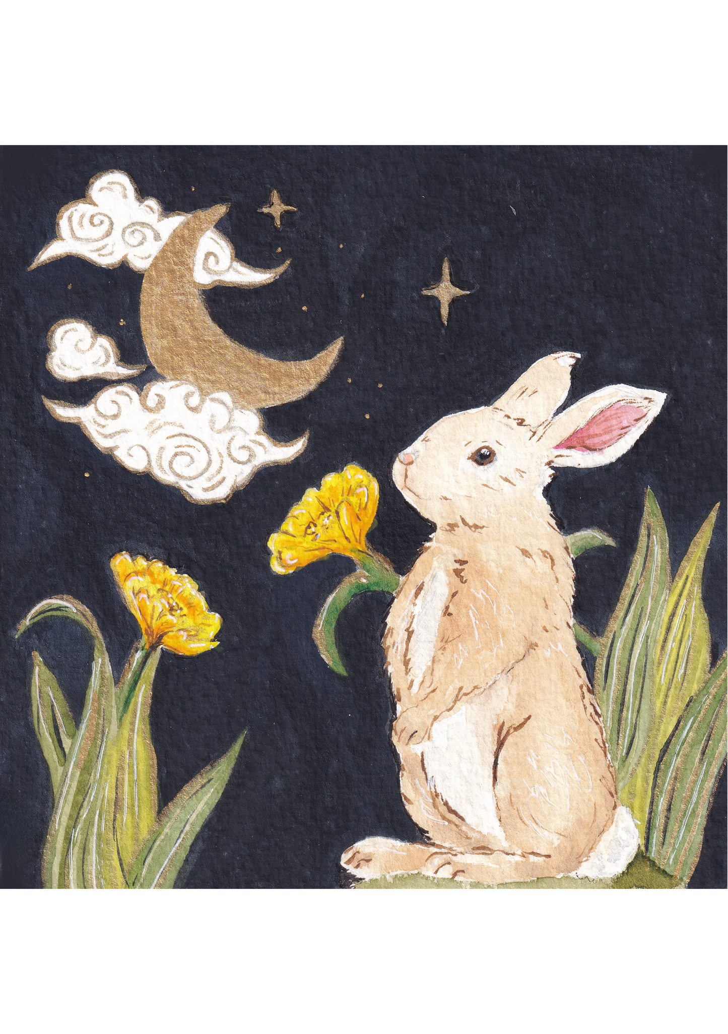 Watercolour Kit - Rabbit