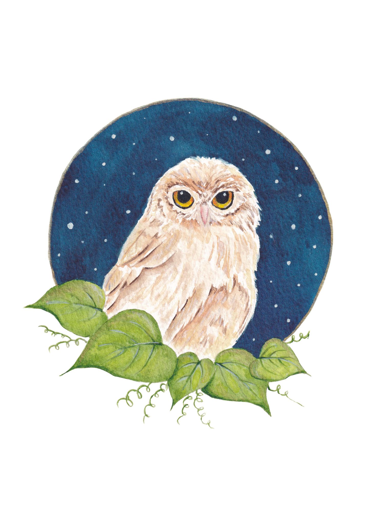 Watercolour Kit - Little Owl