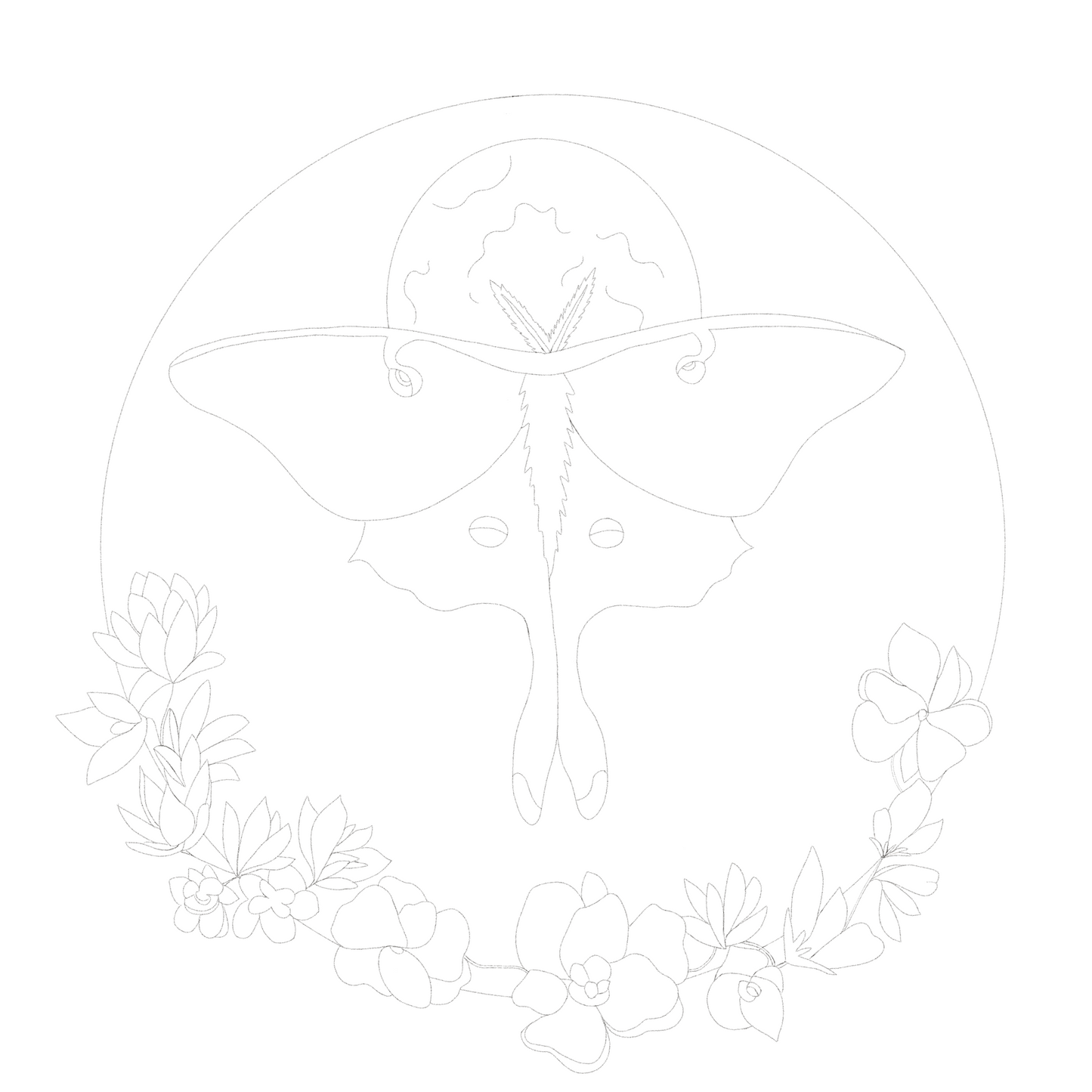 Watercolour Kit - Luna Moth