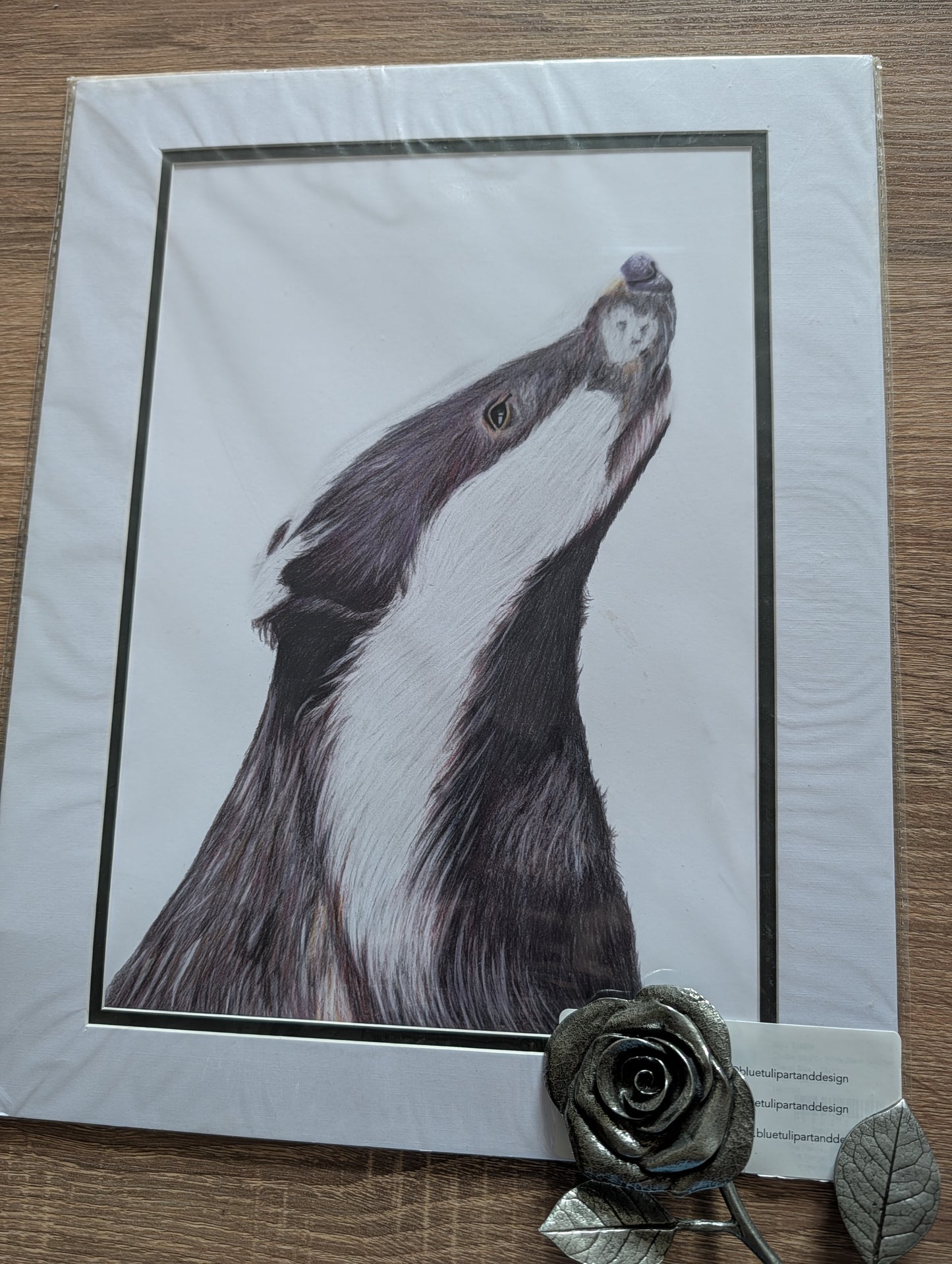 A3 Print - Badger