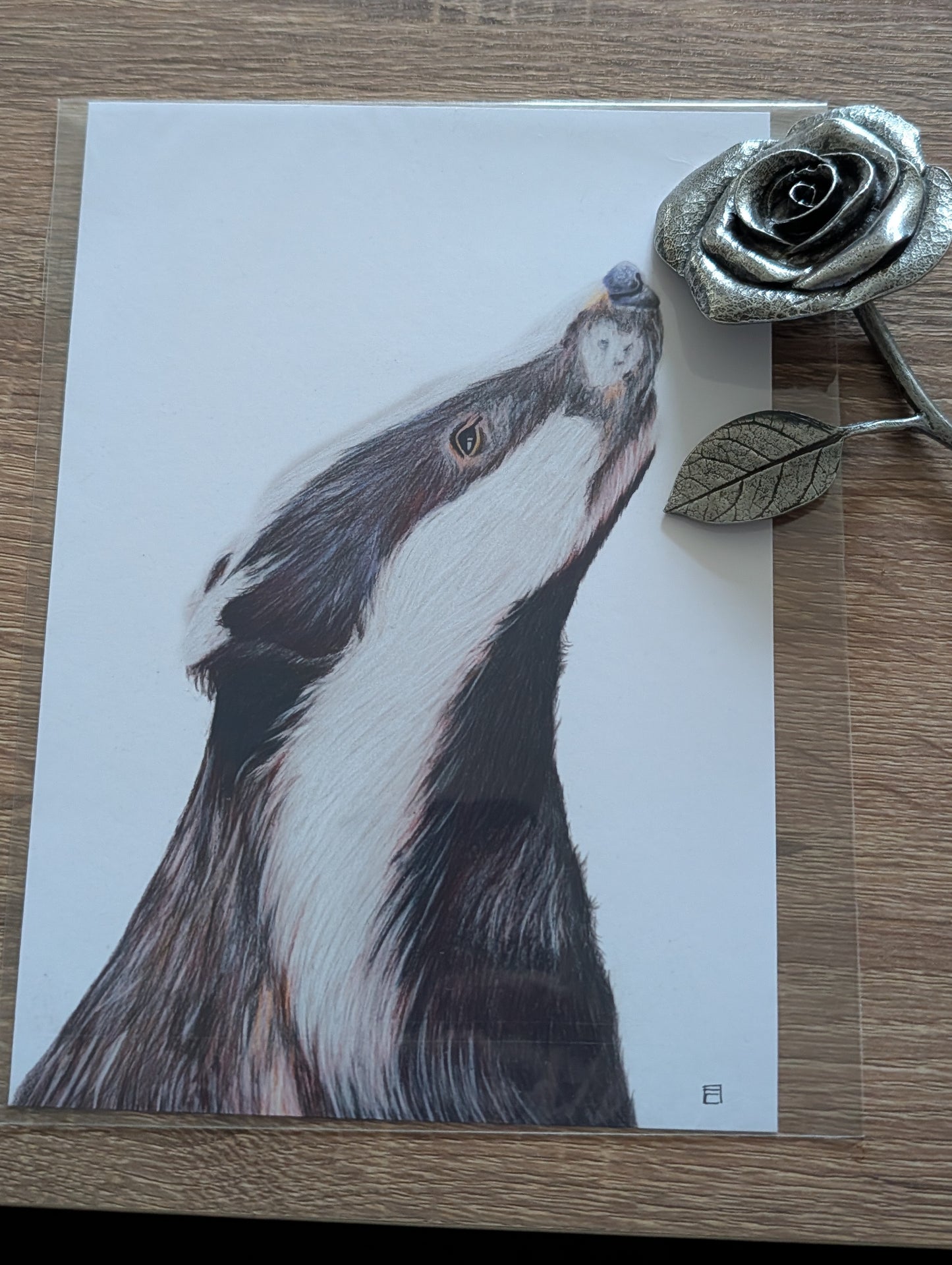 A5 Print - Badger