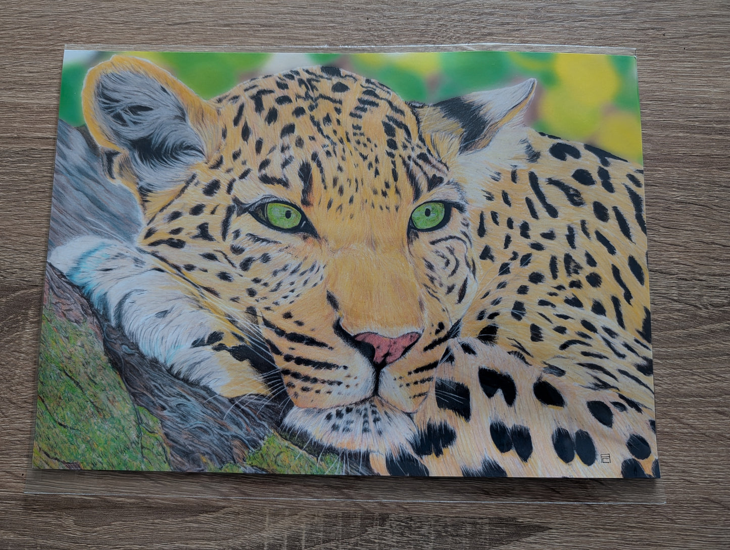 A4 Print - Leopard