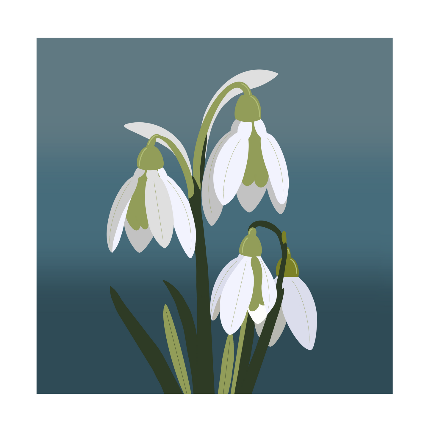 Square greeting card - Snowdrops