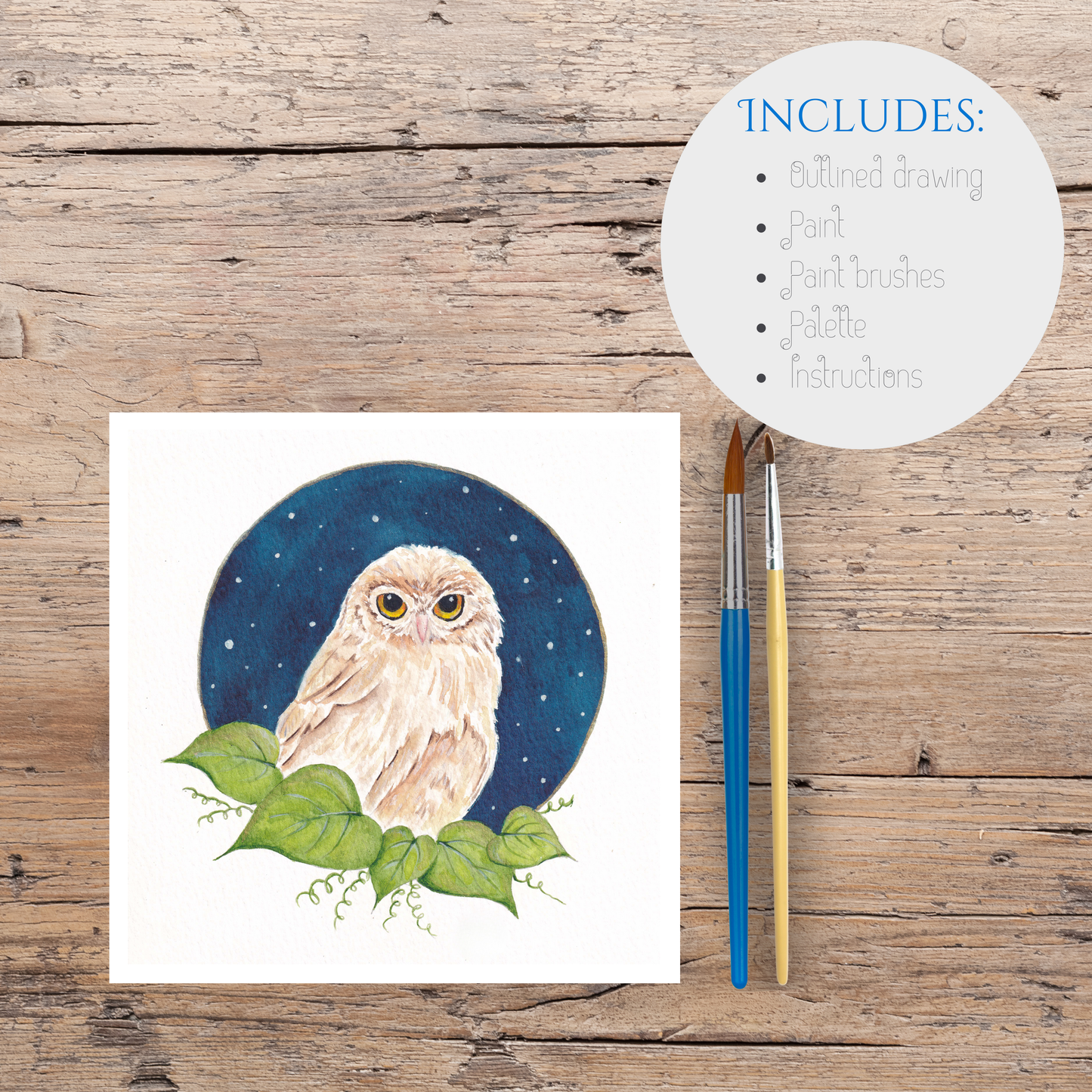 Acrylic Kit - Little Owl