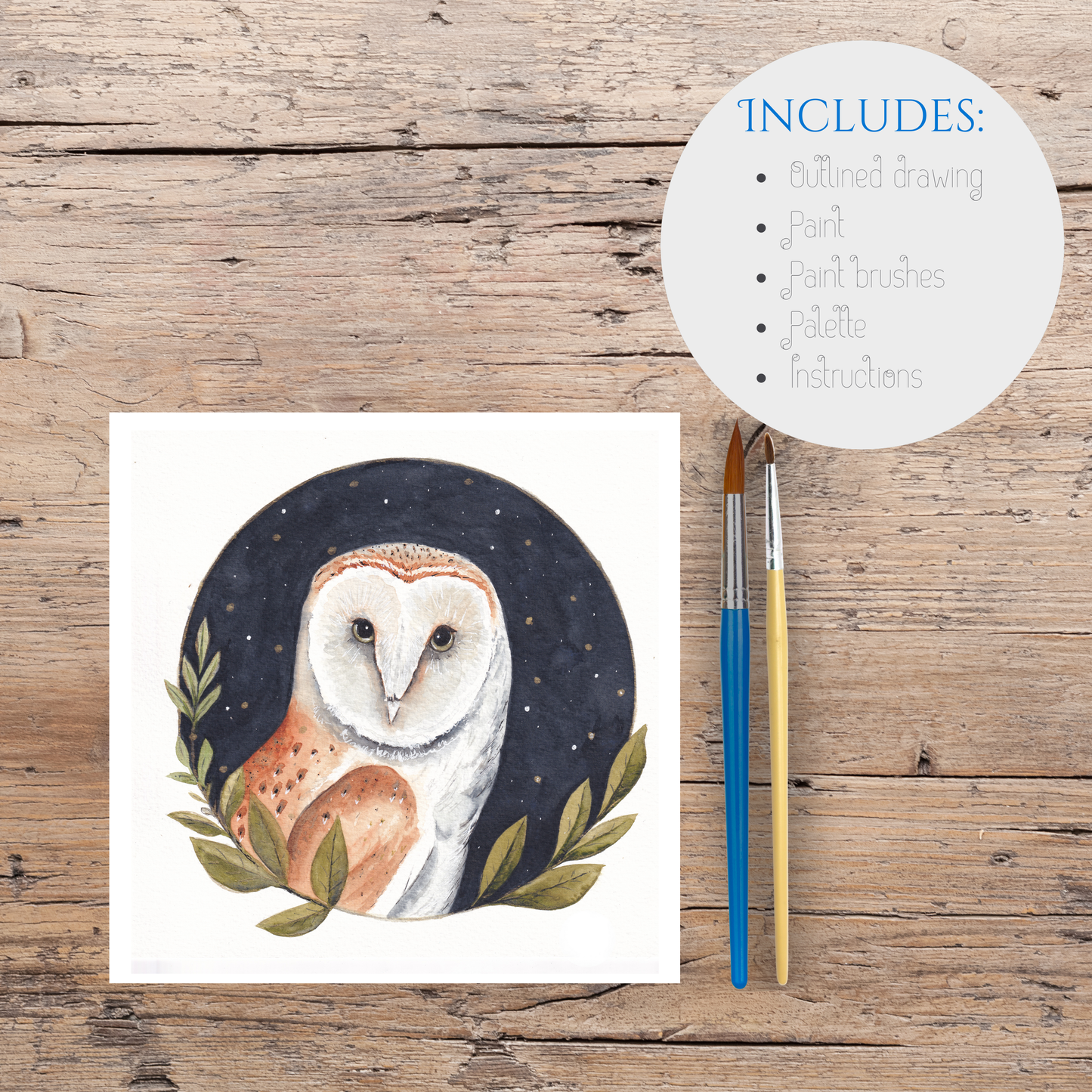 Acrylic Kit - Barn Owl