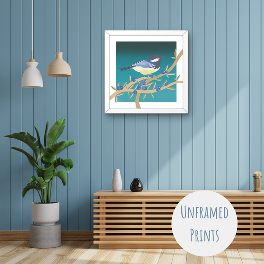 Fairy Wren - Art Print