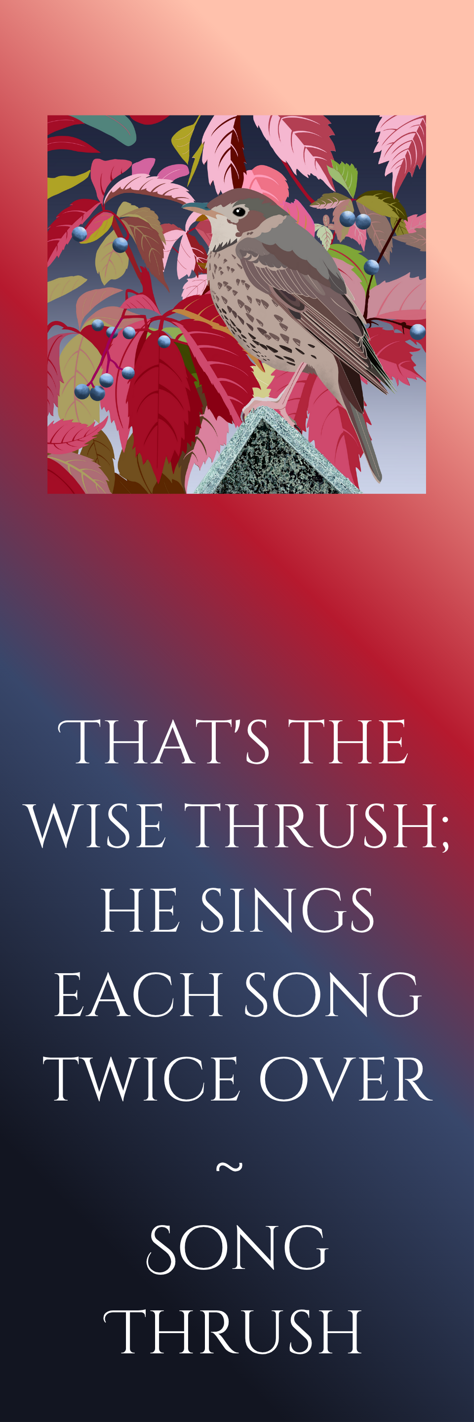 Bookmark - Set of four