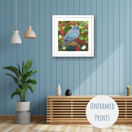 Starling - Art Print