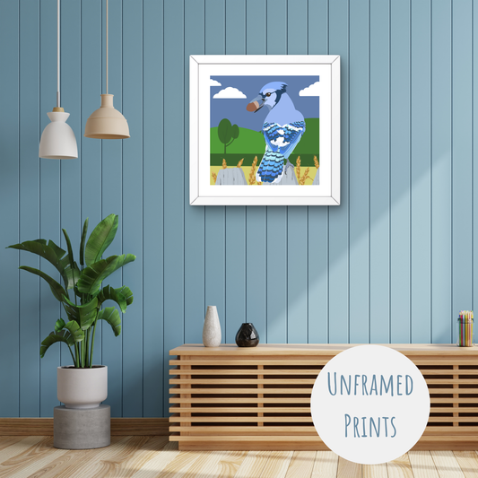 Blue Jay - Art Print