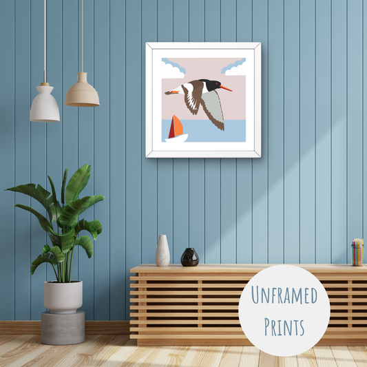 In flight Oystercatcher - Art Print