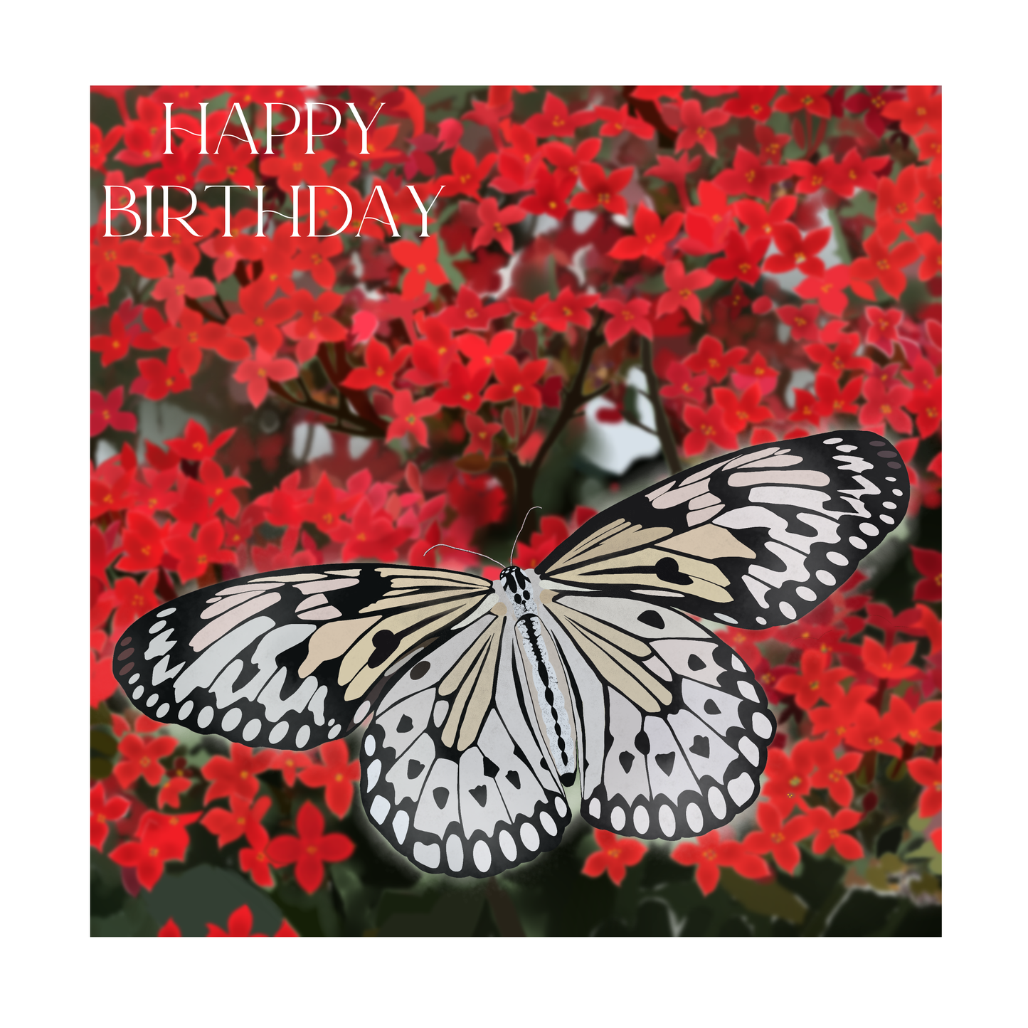 Square greeting card - Butterfly - Happy Birthday