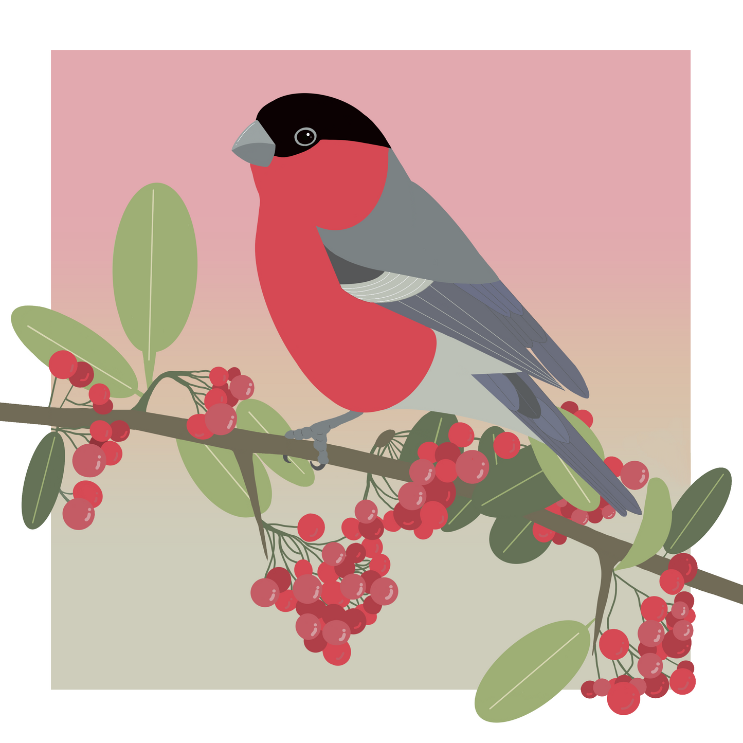 Square greeting card  - Bullfinch