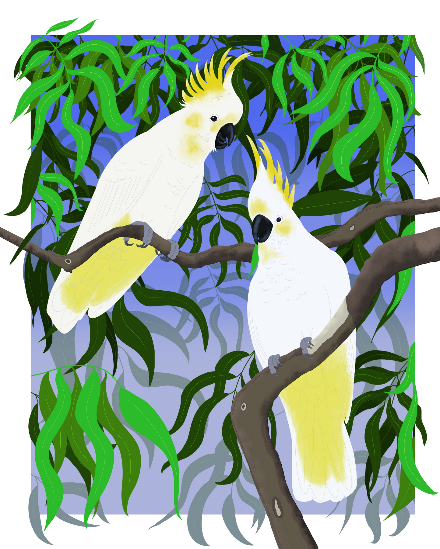 A5 greeting card - Cockatoos