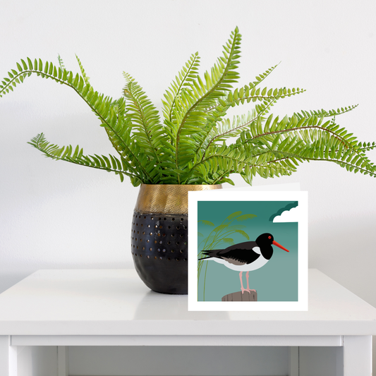 Square greeting card  - Oystercatcher