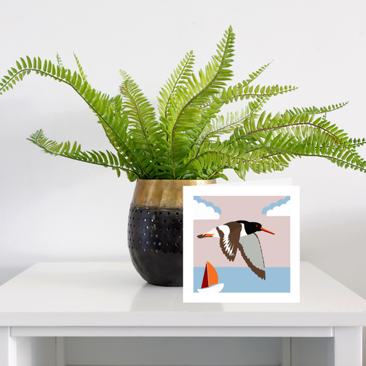 Square greeting card  - Oystercatcher in flight