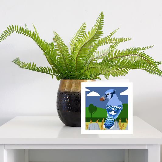 Square greeting card  - Blue jay
