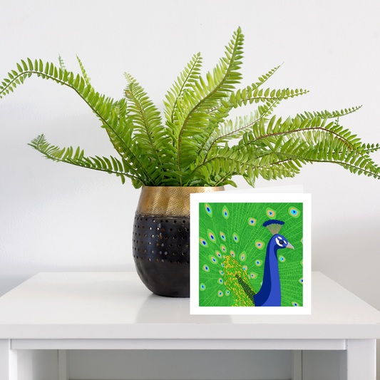 Square greeting card - Peacock