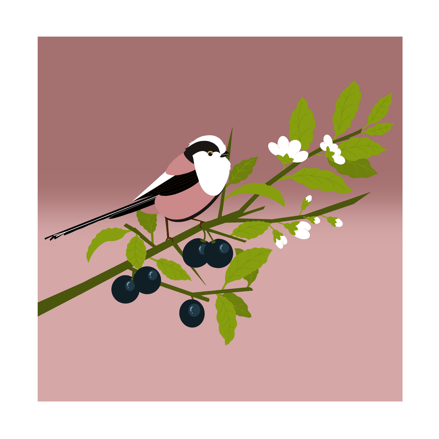 Square greeting card  - Long tailed tit