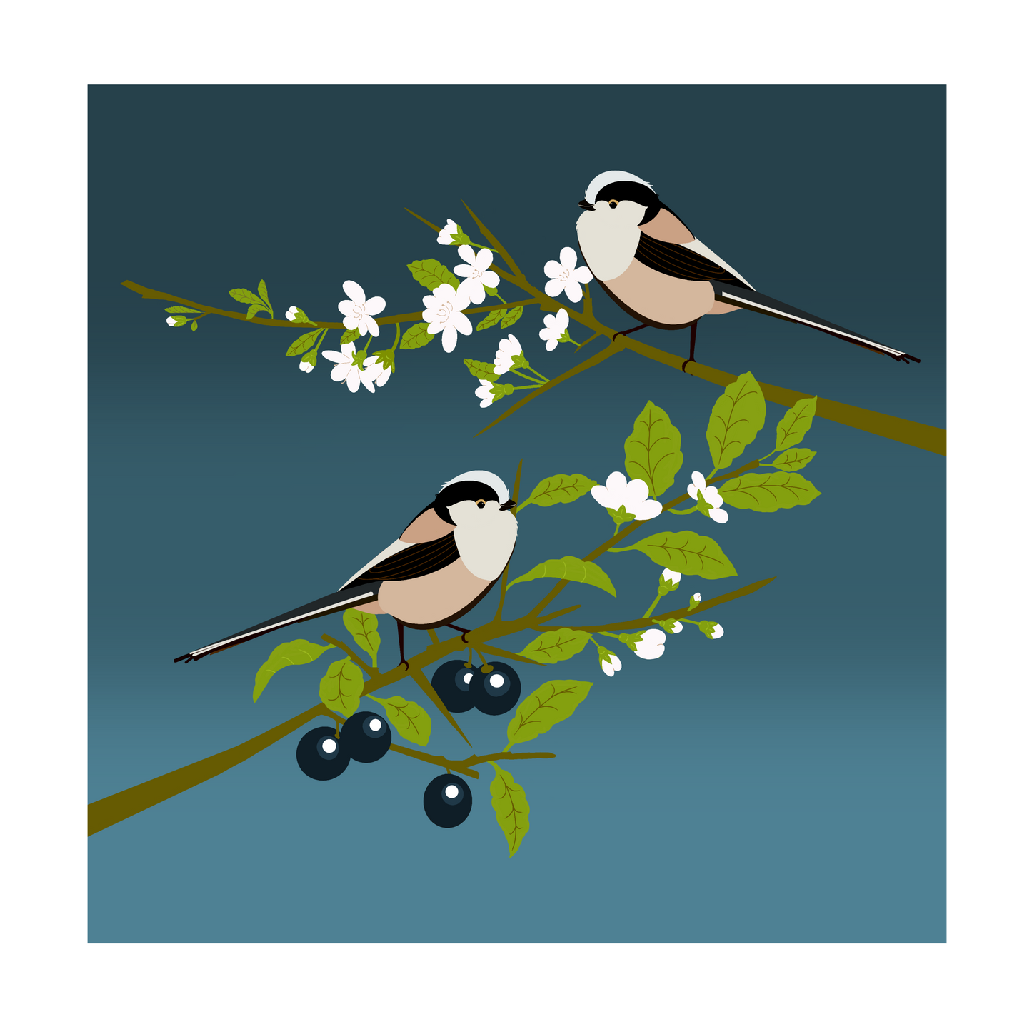 Square greeting card  - Long tailed tits