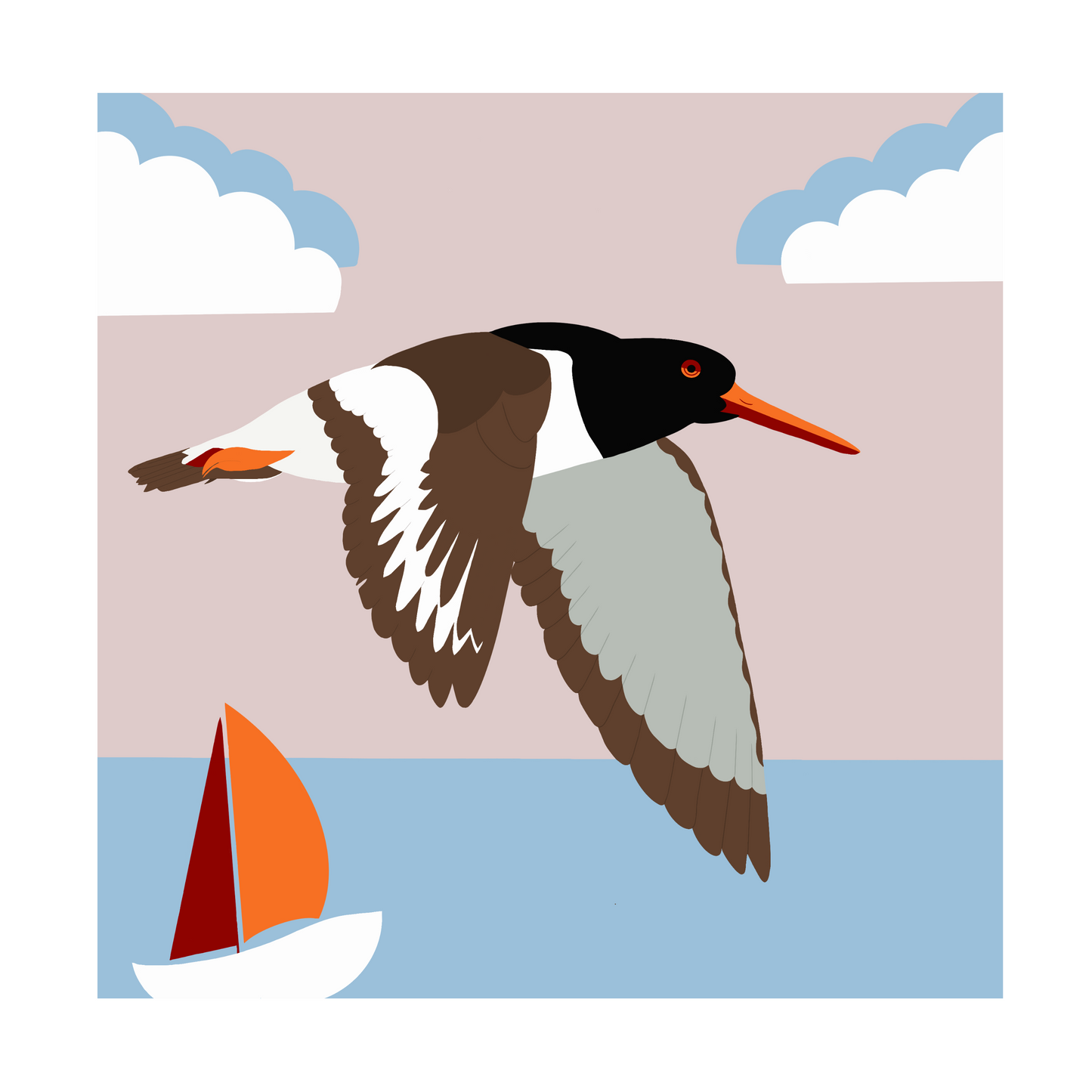Square greeting card  - Oystercatcher in flight
