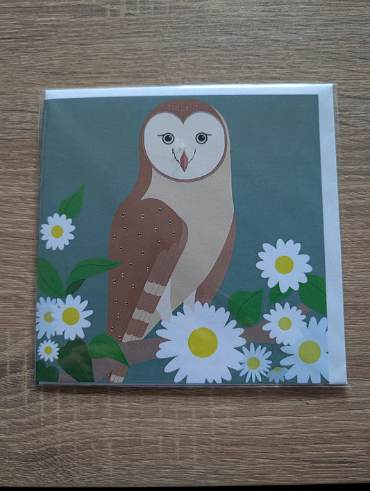 Greeting Card - Barn Owl on Teal