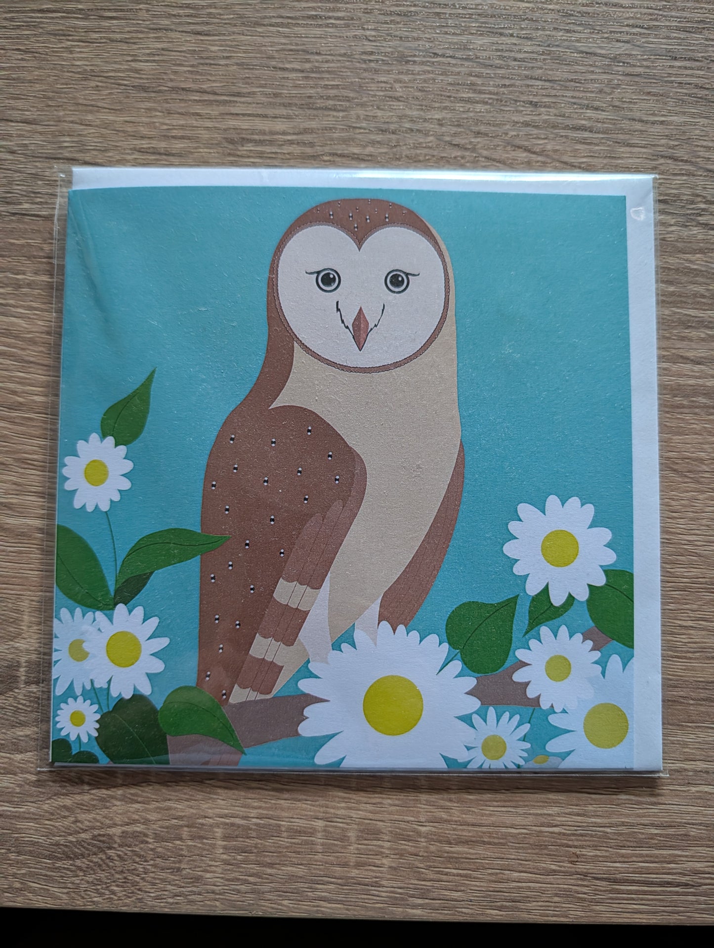 Greeting Card - Barn Owl on Turquoise
