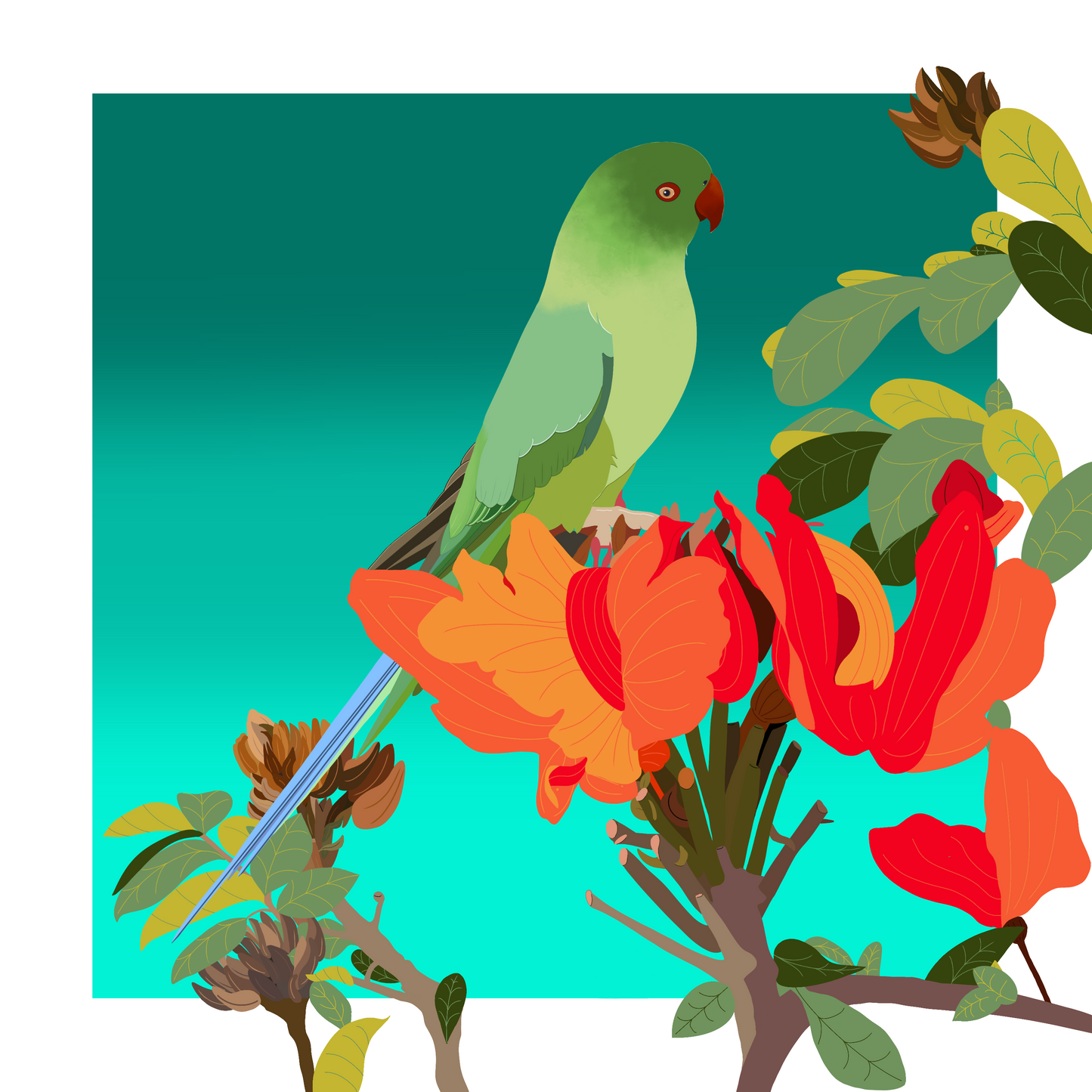 Square greeting card  - Parakeet