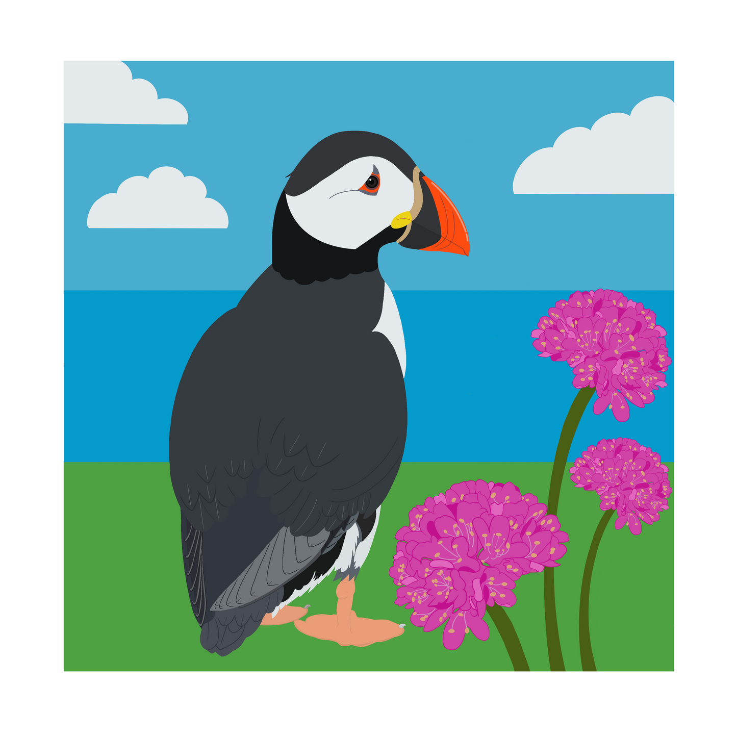 Square greeting card - Puffin