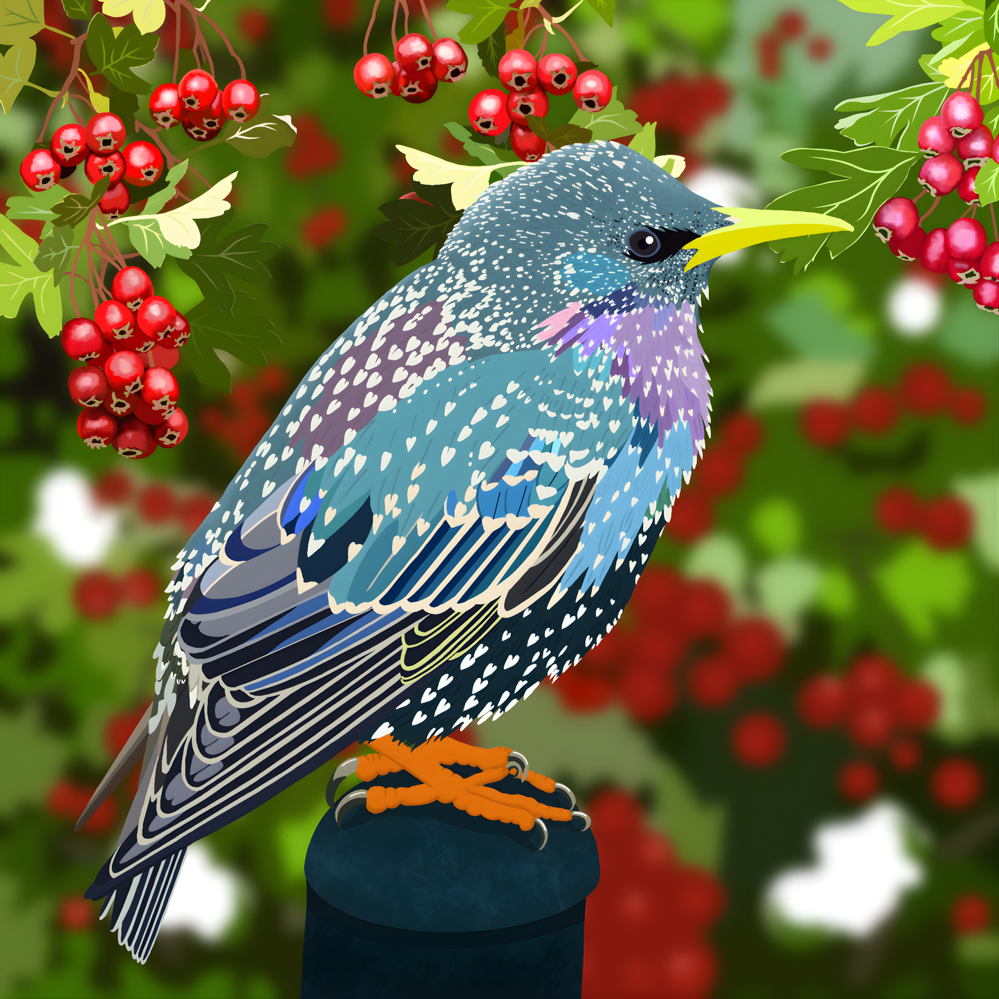 Starling - Art Print