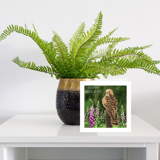 Square greeting card - Kestrel - Happy Birthday