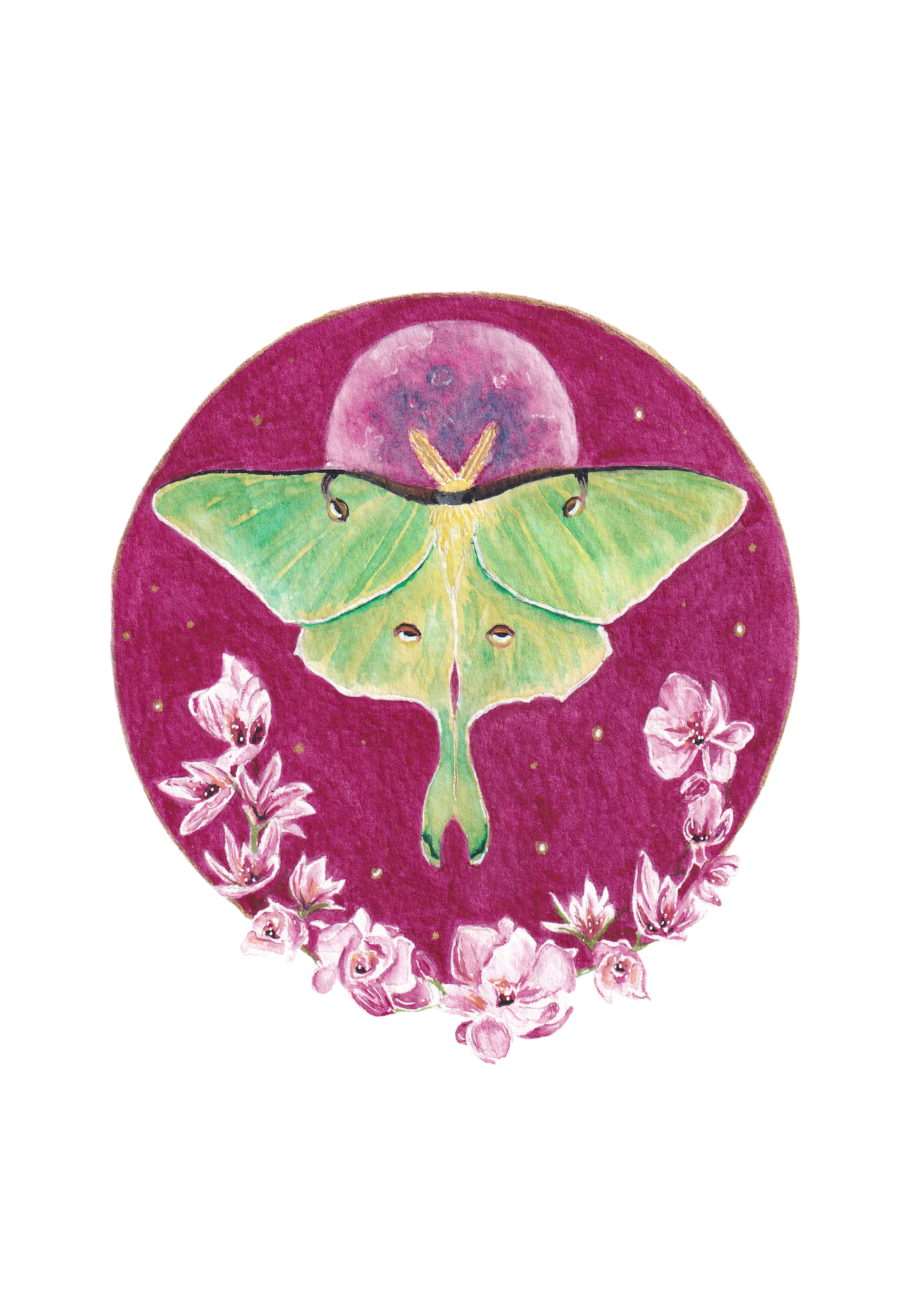 Watercolour Kit - Luna Moth