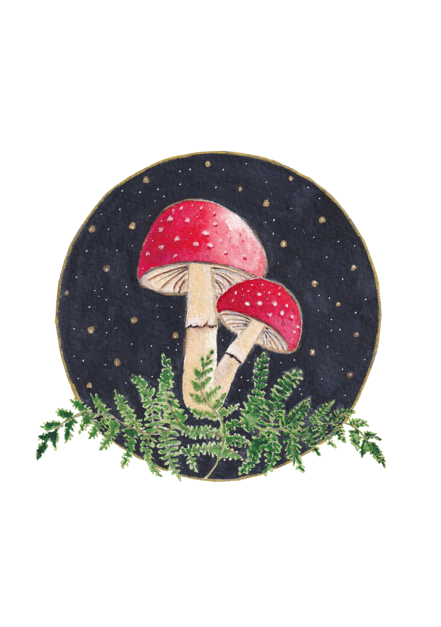 Watercolour Kit - Toadstool