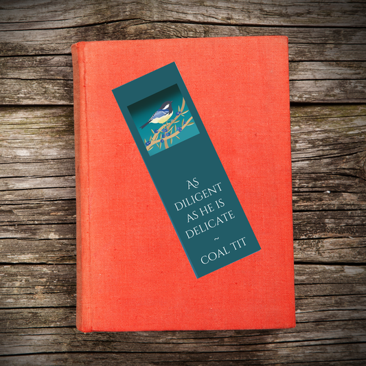 Bookmark - Set of four