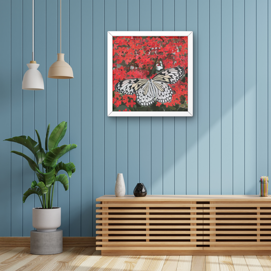 Butterfly - Art Print