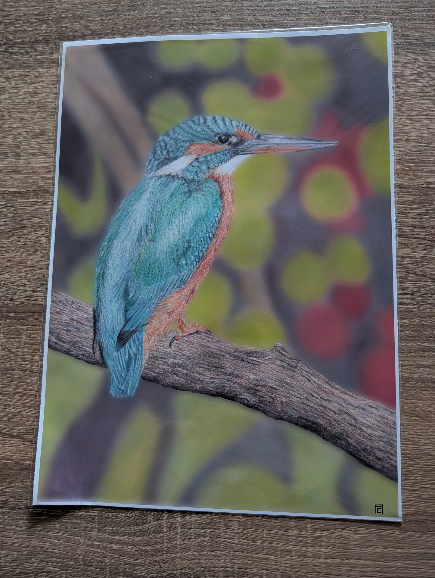 A4 Print - Kingfisher