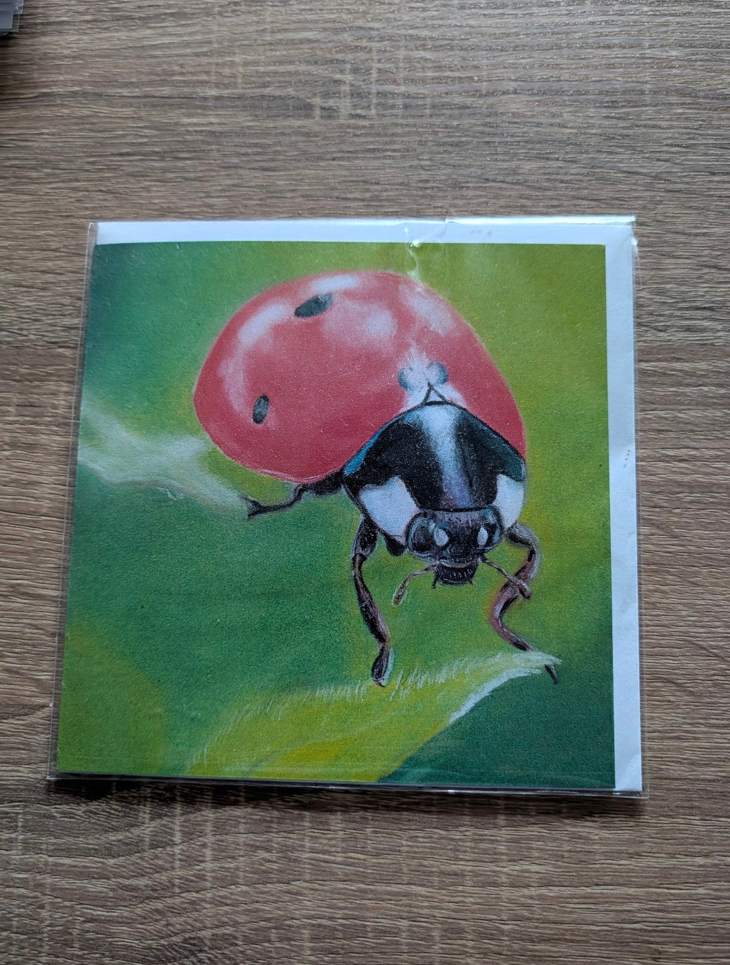 Greeting Card - Ladybird in pastels
