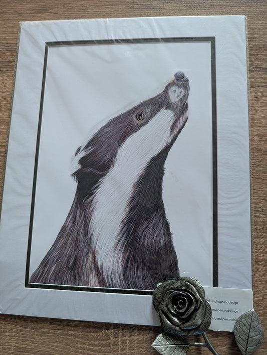 A3 Print - Badger