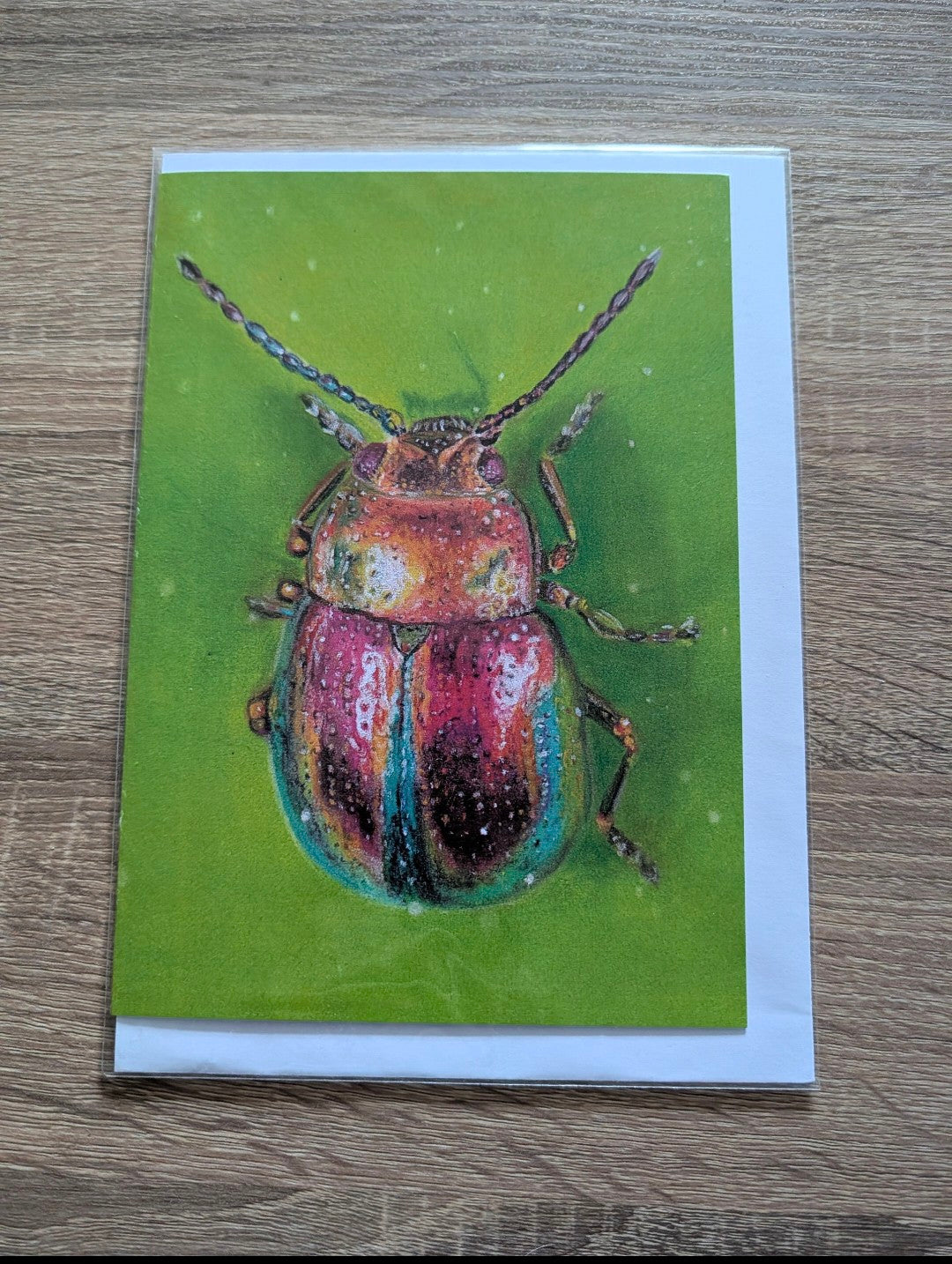 Greeting Card - Beetle