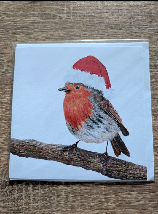 Greeting Card - Christmas Robin