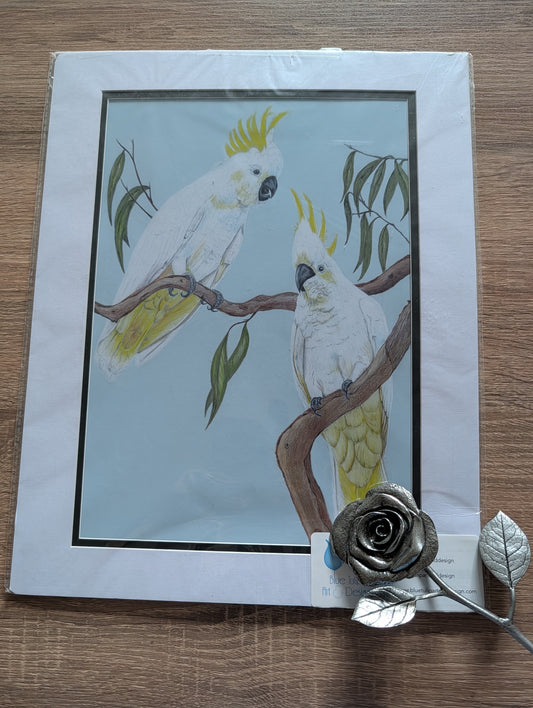 A3 Print - Cockatoos